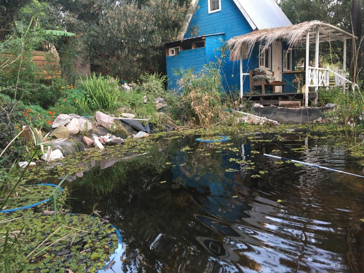 No Estamos Locos Villa Piriápolis Exteriör bild
